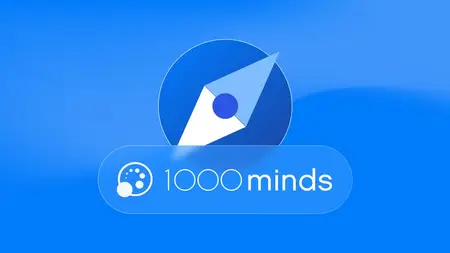 Multi-Criteria Decision Analysis (MCDA) using 1000minds