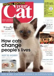 Your Cat - March 2020
