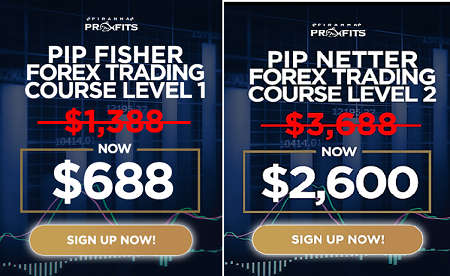 Piranha profits - Stock Trading Course (Level's 1-2)