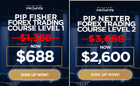 Piranha profits – Stock Trading Course (Level's 1-2)