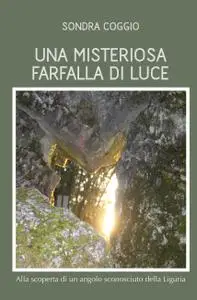Una misteriosa farfalla di luce