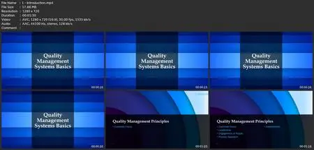 Iso 9001 Quality Management Systems Overview