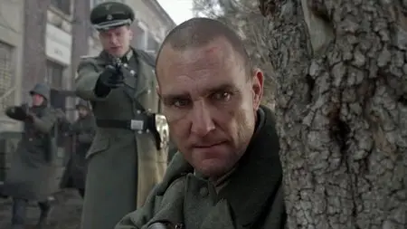 Company of Heroes (2013)