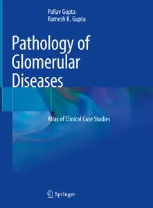 Pathology of Glomerular Diseases: Atlas of Clinical Case Studies