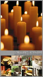 Ambient Interiors 