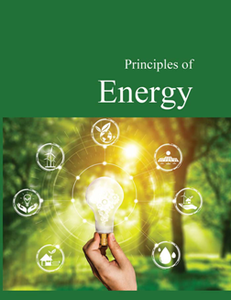 Principles of Energy