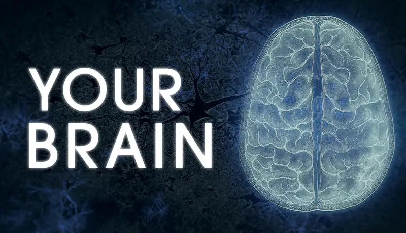 PBS Nova - Your Brain (2023)