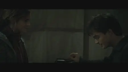 Harry Potter and the Deathly Hallows: Part I (2010)