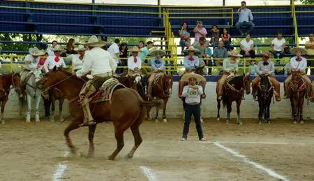 BBC - Mexico: Earth's Festival of Life (2017)