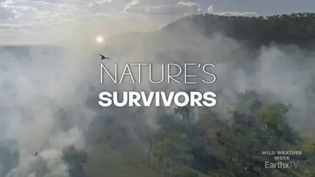 EarthxTV - Nature's Survivors (2021)