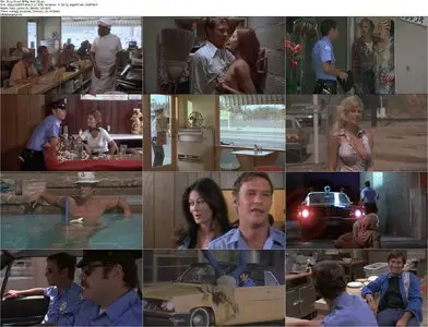 The Love Life of a Cop (1974)