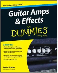 Guitar Amps & Effects FD