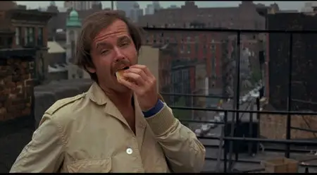A Safe Place (1971)[The Criterion Collection #548] (1971)