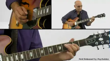 Truefire - Larry Carlton's Collections (2015)