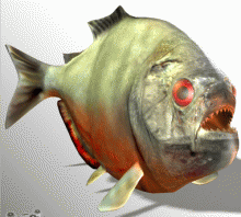 Piranha 