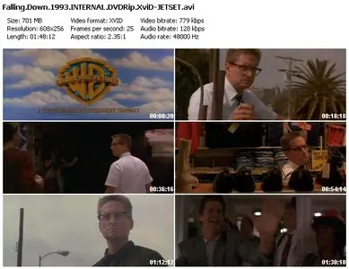 Falling Down (1993)