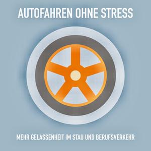 «Autofahren ohne Stress: Mehr Gelassenheit im Stau und Berufsverkehr» by Patrick Lynen