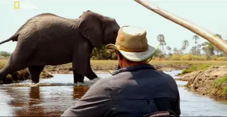 Into The Okavango (2018)