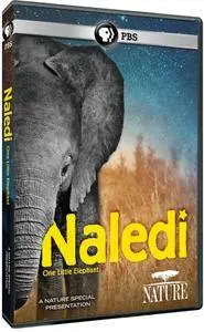 PBS NATURE - Naledi: One Little Elephant (2017)