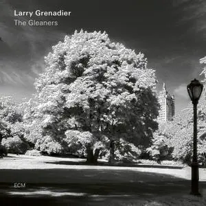 Larry Grenadier - The Gleaners (2019) [Official Digital Download 24/96]