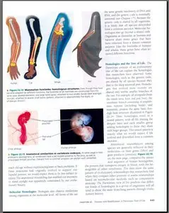 Biology, 7th Edition by Neil A. Campbell, Jane B. Reece
