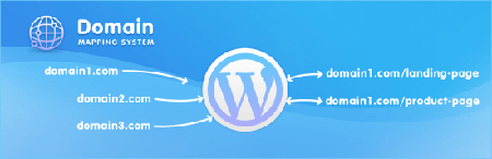 Domain Mapping System PRO v1.9.1