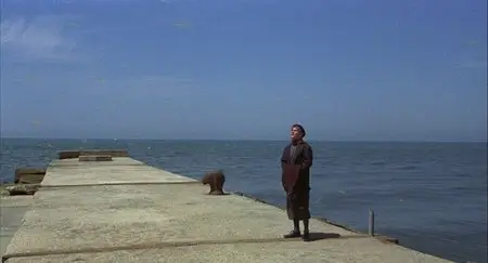 Amarcord (1973)