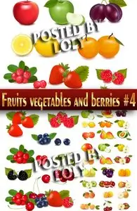 Fruits, vegetables and berries #4 - Stock Vector