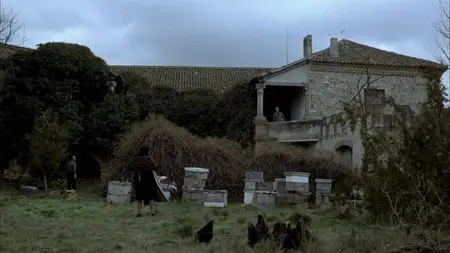 The Spirit Of The Beehive / El espíritu de la colmena (1973)