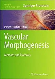 Vascular Morphogenesis: Methods and Protocols