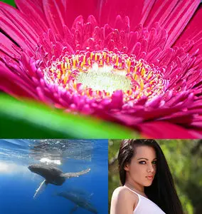 Best Mixed Wallpapers Pack (116)