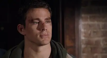 Fighting (2009)