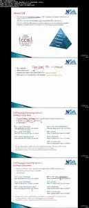 CCIE Routing & Switching Version 5.0 - BGP