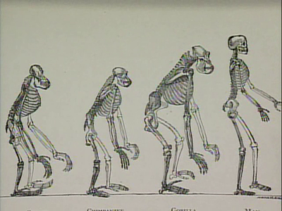 Biography - Charles Darwin: Evolution's Voice (2005)