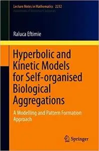 Hyperbolic and Kinetic Models for Self-organised Biological Aggregations: A Modelling and Pattern Formation Approach