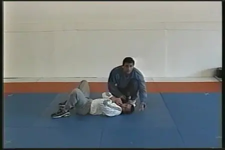 The Practical Grappler