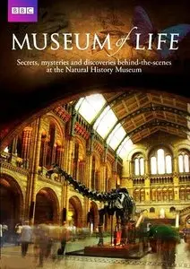 BBC - Museum Of Life (2010)