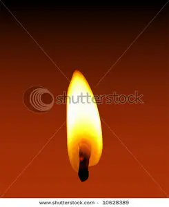 Vector Burning Flame