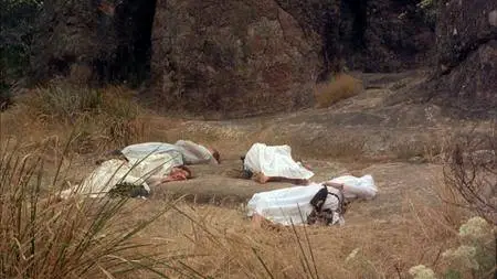 Picnic at Hanging Rock (1975) Criterion Collection [with Extras]
