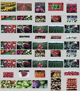 Agriculture