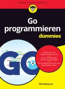 Go programmieren für Dummies (German Edition)