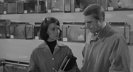 Love with the Proper Stranger (1963)