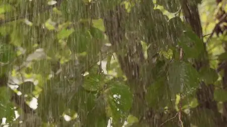 Journey with Dylan Dreyer S02E15