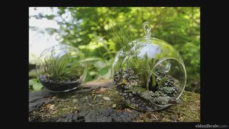 Video2Brain - The Art of Craft Photography [repost]