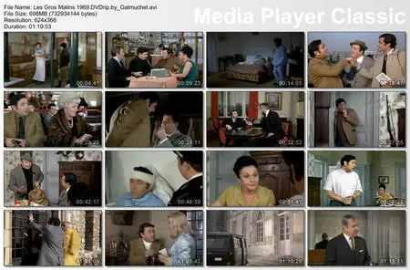 Les Gros Malins (1969) [Re-UP]