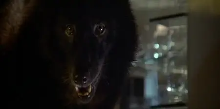 Wolfen (1981)