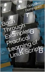 Bash Through Examples: Practical Learning of Linux Scripts