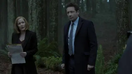 X-Files S01E08