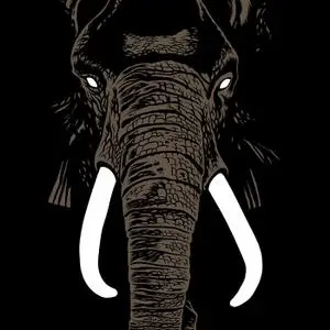 Palm Unit - Don't Buy Ivory Anymore! (2019)