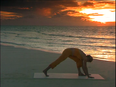 Shiva Rea - Sun Salutations (2005)